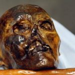 Alpine hikers get finder’s fee for Stone Age mummy Ötzi
