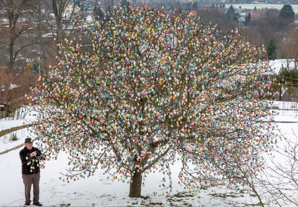 76 year old decks Easter tree with more than 10,000 eggs