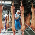 German cheap meat diet proves risky