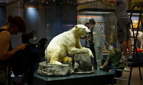 Knut goes on display in Berlin museum