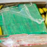 €15m of cocaine found in Aldi banana boxes