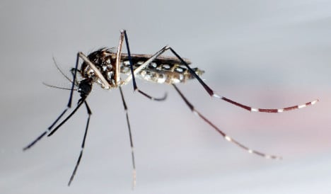 2 Zika virus cases in Germany, but spread ‘very, very unlikely’