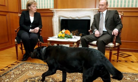 Putin 'didn't mean to scare Merkel with dog'