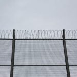 Danish People’s Party wants barbed wire fence on Germany border