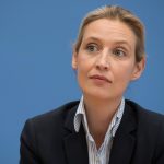 TV presenter allowed to call AfD leader 'Nazi slut', court rules