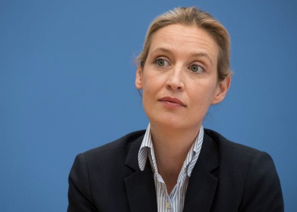 TV presenter allowed to call AfD leader ‘Nazi slut’, court rules
