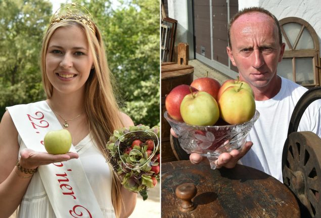 Man takes east German town to court for not crowning him Apple Queen