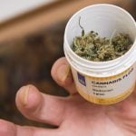 Medical marijuana in ‘high’ demand with over 13,000 applications: report