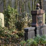 The unexpected things cemeteries can teach you about Germany