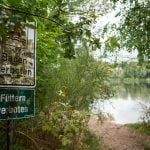 Escaped three-metre anaconda shuts down swimming lake near Düsseldorf