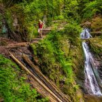 Wandervogel: How to get back to nature and embrace the wilderness like the Germans
