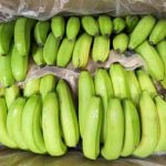 Ecuador in bid to fight German supermarket chain Aldi on banana costs