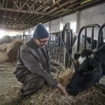 German farmers sue government over missed climate targets