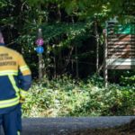 ‘A miracle’: German girl found after two days missing in remote woods