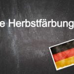 German words you need to know: Die Herbstfärbung