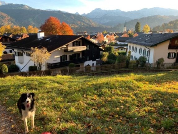 IN PICTURES: The best autumn in Germany photos