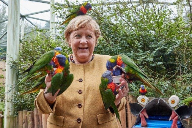 Angela Merkel feeding (and being bitten by) Australian parrots at Marlow Bird Park.
