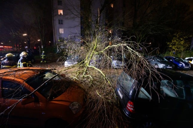 A fallen tree on parked cars in Hamburg.